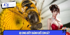 Bị Ong Đốt Đánh Đề Con Gì? Giải Mã Giấc Mơ Tìm Số May Mắn