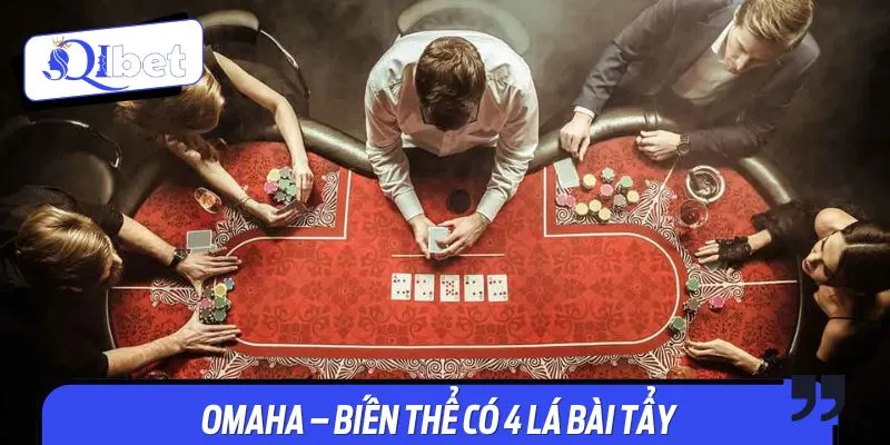 Hướng dẫn cách chia bài Poker chuẩn xác với biến thể Omaha