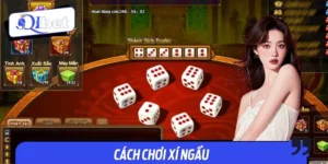 Cách Chơi Xí Ngầu QIBET - Mẹo Chơi Chuẩn, Thắng Siêu Nhanh
