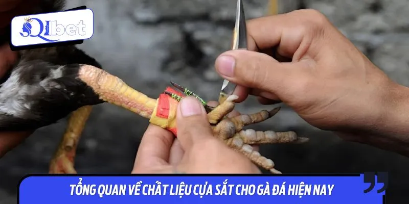 Hiểu rõ vật liệu khi áp dụng các cách chọn cựa sắt gà đá
