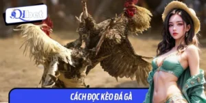Cách Đọc Kèo Đá Gà Chuẩn Xác Từ A - Z, Đánh Đâu Thắng Đó