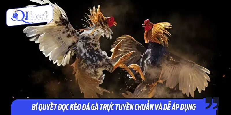 Rèn luyện kỹ năng đọc kèo đá gà để tăng tỷ lệ thắng đáng kể