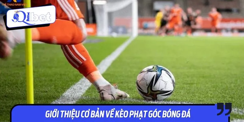 Giới thiệu cơ bản về kèo phạt góc bóng đá
