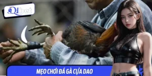 5 Mẹo Chơi Đá Gà Cựa Dao - Từ Tay Mơ Đến Cao Thủ Sát Gà
