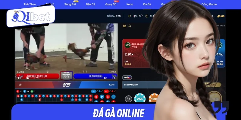 Người dùng tại đây sẽ được theo dõi đá gà và đặt cược trực tiếp
