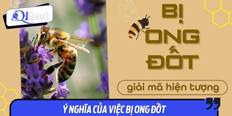 Ý nghĩa tâm linh của việc người bị ong đốt